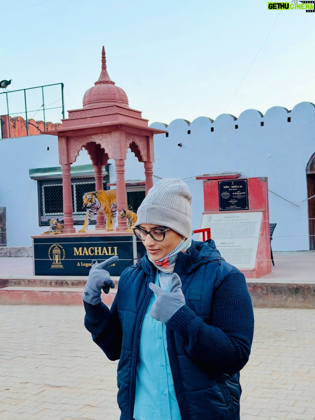 Sri Sudha Bhimireddy - 876 Likes - Winters are always special with sunlight beam rays passing through the thin lines of hopes …….
🥰❤️🐅🐯🐯🐅❤️
