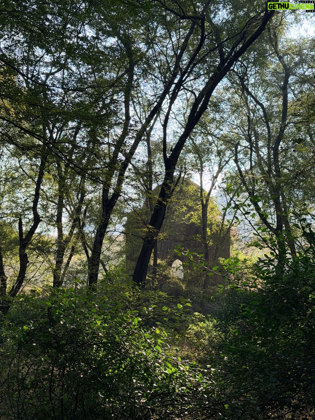 Sri Sudha Bhimireddy - 876 Likes - Winters are always special with sunlight beam rays passing through the thin lines of hopes …….
🥰❤️🐅🐯🐯🐅❤️
