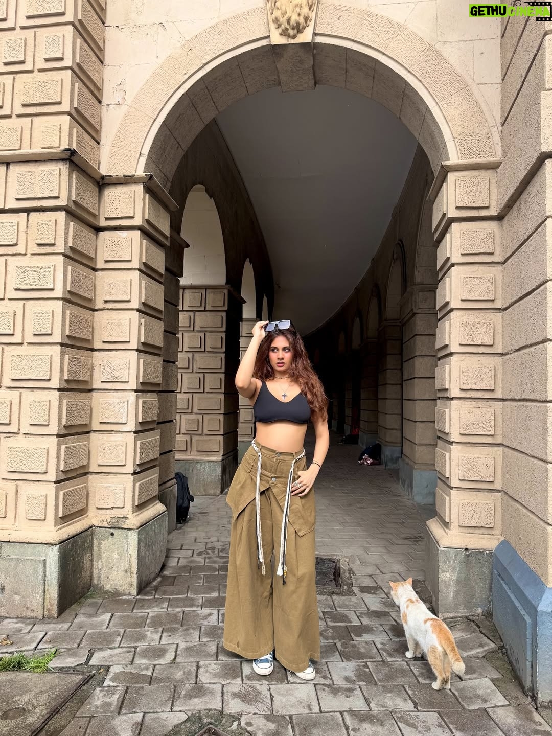 Srushti Bannatti - 27.4K Likes - Cat was a paid actor 
Pants @eevz.in 

#fyp #streetwear 

#outfitinspo 

Street style
Pant skirt