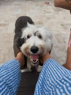 Stefanía Roitman Instagram - 4 años de casados.
Amor de mi vida.