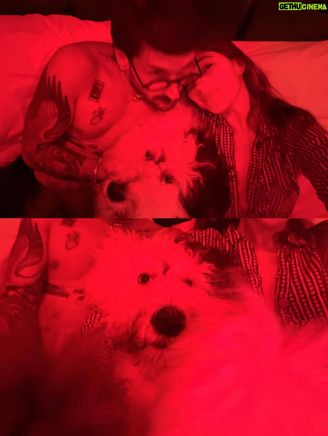 Stefanía Roitman - 131.6K Likes - 4 años de casados. 
Amor de mi vida.