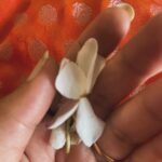 Surabhi Hande