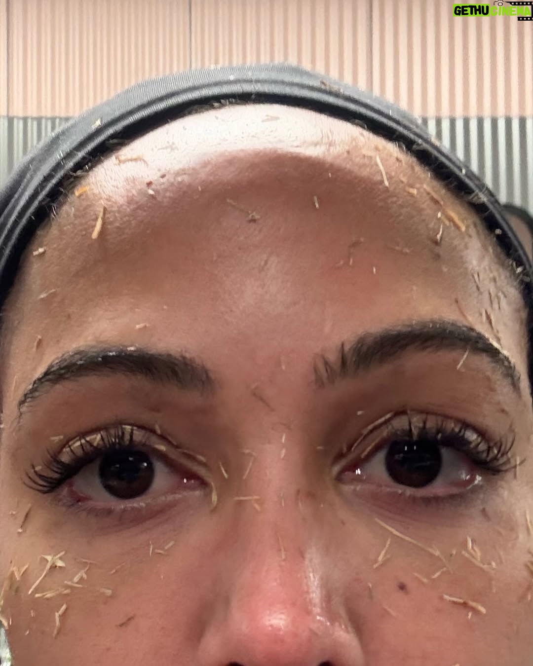 Sydney Leroux - 30.3K Likes - Preseasoning… 🧂