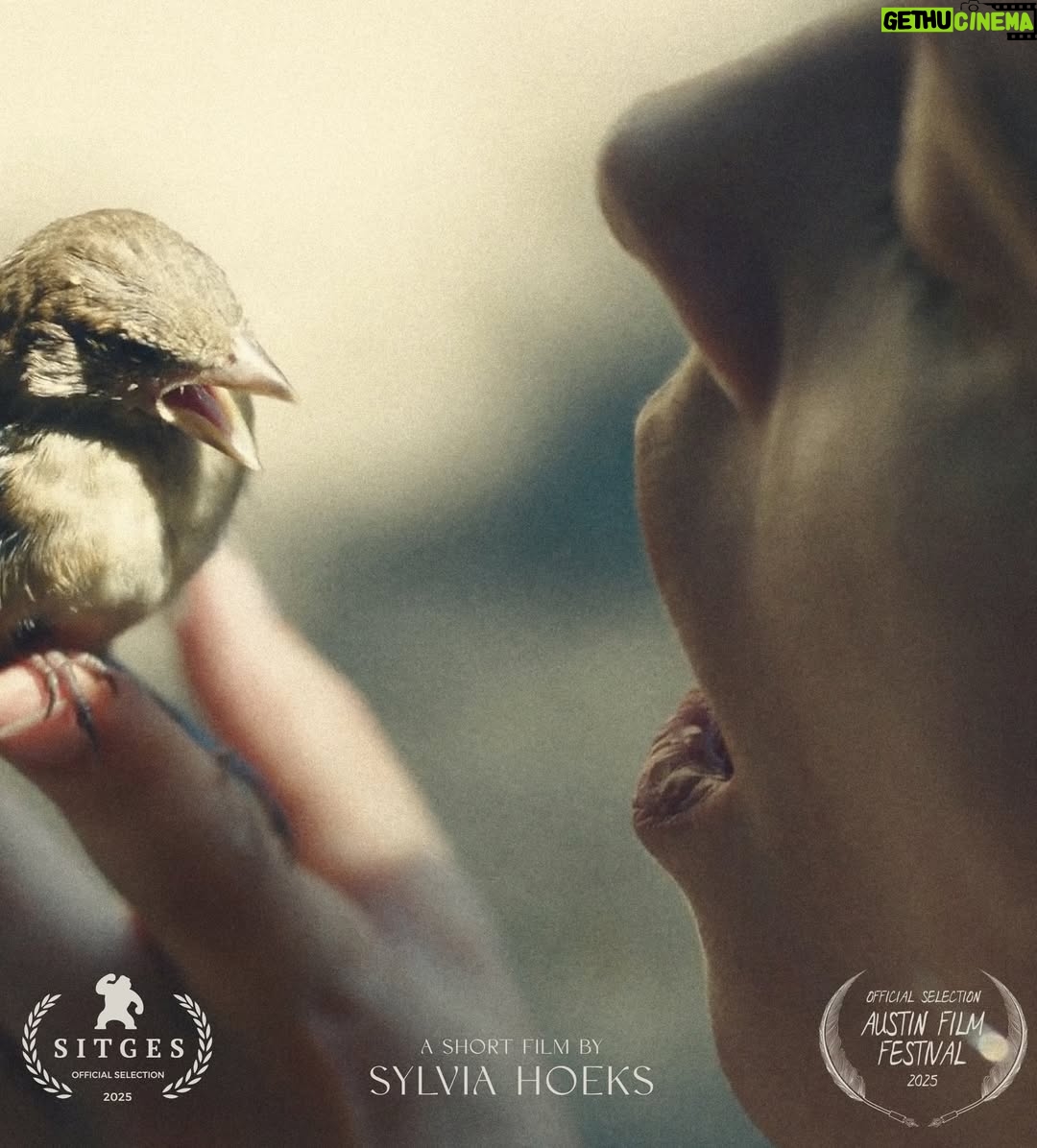 Sylvia Hoeks - 424 Likes - Thank u @iffr for having us.

MAGPIE comes from a very personal place and I’m so grateful I get the chance to share this story.

Storytelling to me is the act of telling our stories in order to create momentum and space for others to share theirs.