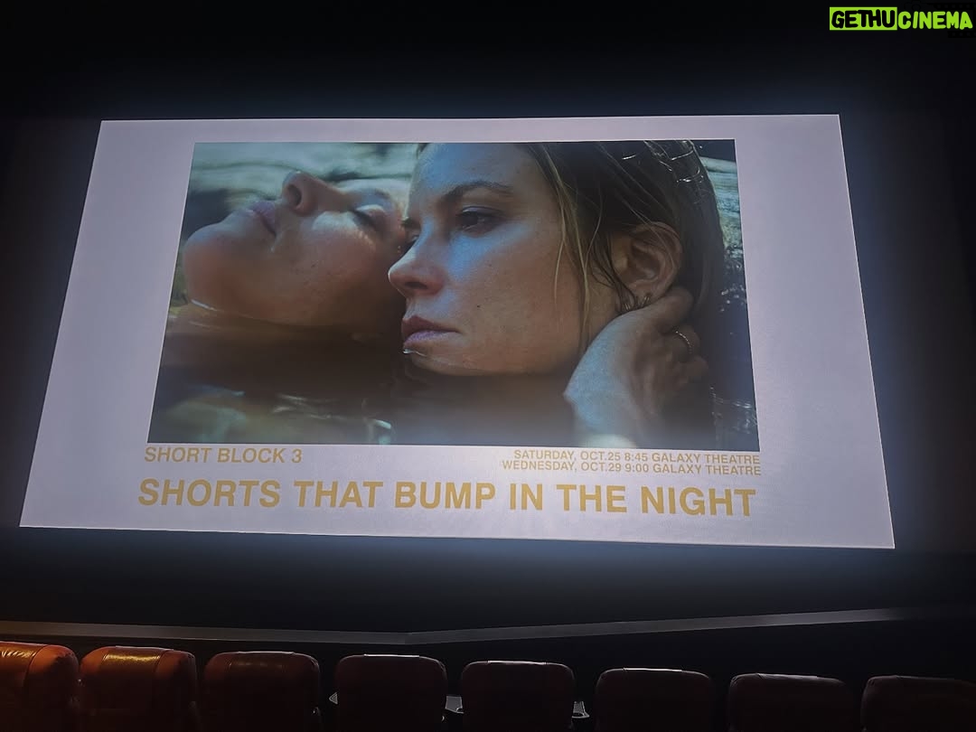 Sylvia Hoeks - 436 Likes - Thank u for having us @austinfilmfest

#darkmatters #magpiemovie #shortsthatbumpinthenight.