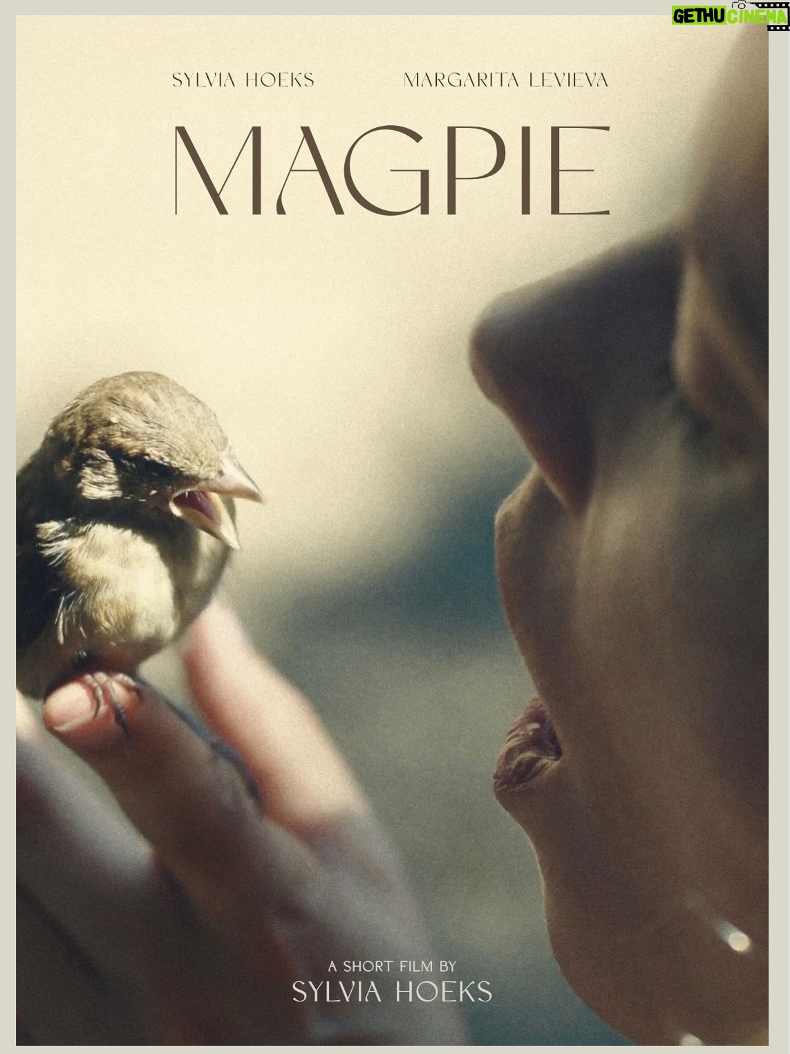 Sylvia Hoeks - 731 Likes - MAGPIE premieres at @sitgesfestival today.

A journey of many firsts — a magical mix of light and shadow, growth and discovery. I’m deeply thankful to everyone who made it possible 🫶🏼💫

@sitgesfestival 
@margaritalevieva 
#macsparrow
@scottfreeprod #ridleyscott @m_pruss @avitalsiegel @the_occasional_norman
@tip_topproductions @rob.mcgillivray 
@benstranahan 
@orianw 
@lemmingfilm @erik.glijnis 
@creativeeurope
@alicedematha
@ryan_de_franco 
@bic_owen 
@tom.lisowski 
@autonomousfx2005 
@atomichoneycasting 
@echobendpictures 
@westsidestudio.amsterdam 
@evelienvdmolen 
@annelottecoster 
@huckabaloo 
@_mark_gill_ 
@fgregorini 
@debbiezollermakeup 
@glazierlauren 
And many many wonderful more. 

#magpiemovie #magpie #europeanpremier #sitgesfestival #officialfantàsticcompetitionshorts