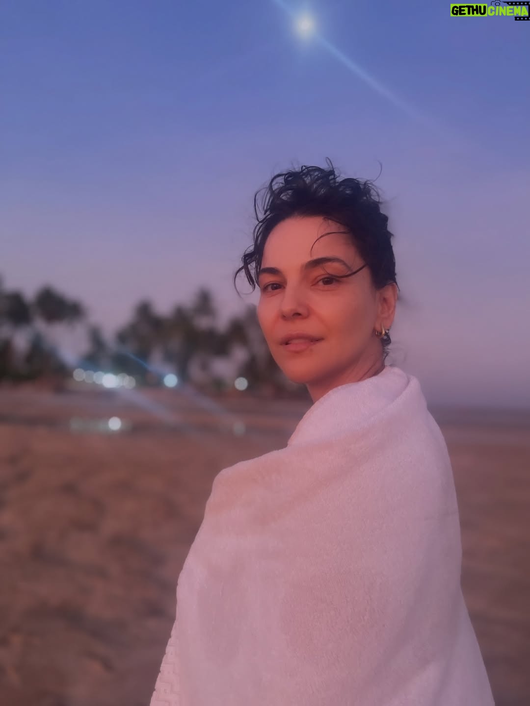 Tainá Müller - 7.9K Likes - 🧜🏼‍♀️✨

O último dia de 2025.