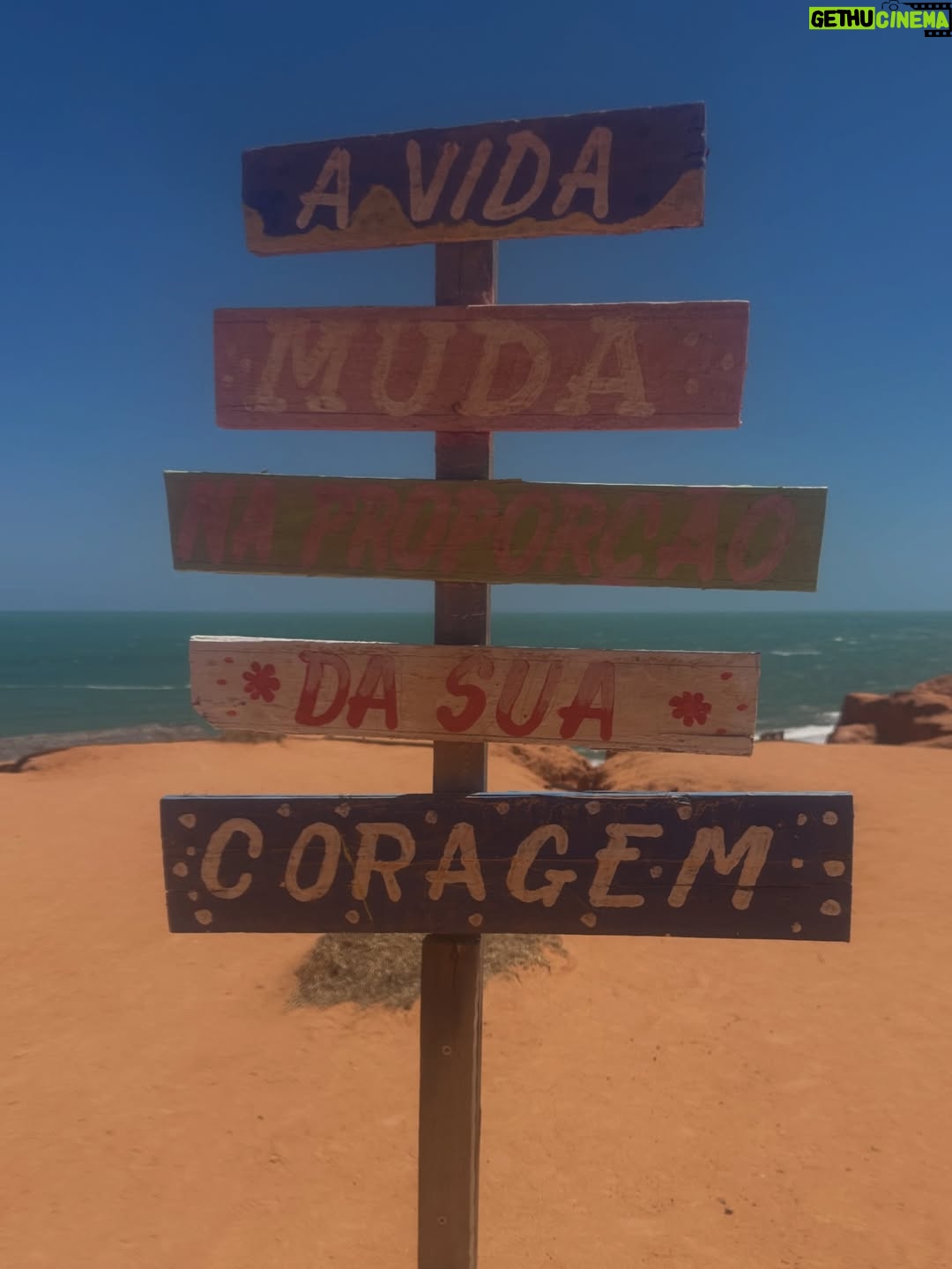 Tainá Müller - 4K Likes - Caba não, verão.