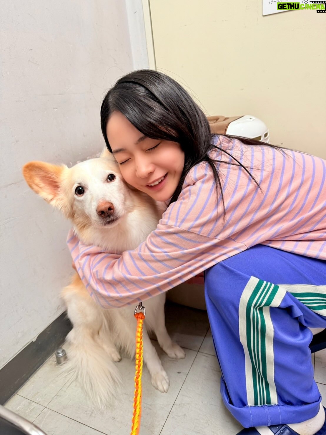Tamaki Shiratori - 10.3K Likes - ⁡
⁡
大、大、大好きなぼくたちん家アニマルズ！！
⁡
初めはどう接したらいいか分からなくて、
嫌なこともしちゃったかもしれないけど、
最後はちょっとだけ心の距離が縮まったと思います！！
たくさんの宝物をありがとうございました！
いつまでも君たちのことを忘れません。
じゃあね🫶🏻
⁡
@zoo_pr 

#くろべぇ
#ミック
#にぼし
#ぼくたちん家