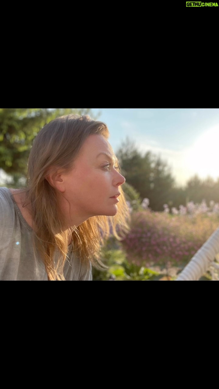 Tamara Arciuch - 0.9K Likes - Kocham mój ogród…❤️