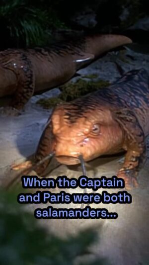 Tawny Newsome Instagram - In this week’s episode of STARTER TREK, the mini-arc of Bonkers Episodes continues with Voyager’s ‘Threshold’. There’s so much for @andrewti and @trondynewman to discuss in this infamous episode including physics revelations contributing to a potentially under-tapped premise, the Voyager-touch, and the huge space-HR violation that happens when you and your boss are turned into space salamanders who then have space salamander babies.
Out now in the Sub-Optimal Bundle. Link to details in bio.