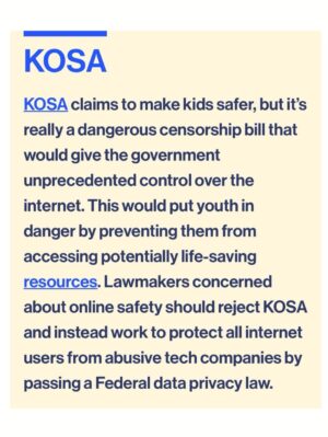 Taylor Lorenz Instagram - ALL HANDS ON DECK!! CALL YOUR REPRESENTATIVE TODAY and tell them: 
 
—NO to KOSA
—NO to Section 230 reform 
—NO online digital ID laws
—NO age verification laws
—NO to the SCREEN Act
—NO to the App Store Accountability Act (digital ID system)
 
CALL NOW!!!! We are about to lose the internet and free speech for life. These laws will reward Peter Thiel’s ID verification and data harvesting companies w billions while entrenching the power of big tech. 

Sen. Marsha Blackburn, claimed KOSA would help “protect minor children from the transgender in this culture.” She also claimed that social media “is where children are being indoctrinated” into LGBTQ culture. 

These bills are being positioned as protecting children online, but experts in child welfare, mental health, and technology say they will cause immense damage to children’s lives and usher in an unprecedented level of mass surveillance and censorship. 
 
The government is also seeking to repeal Section 230, the landmark legislation that protects independent journalism and free speech online. 

Democrats are doing all of this claiming that they’re “cracking down on big tech”, but in reality these laws are a massive gift to big tech and will drastically increase the amount of data tech companies can harvest on us and will entrench the power of Meta and Google. 
 
CALL YOUR REPRESENTATIVES NOW!!!!! And visit badinternetbills.com for a full rundown, scripts to say when you call your congress person and more. 

Read my full piece in @zeteonews 👈👈👈👈