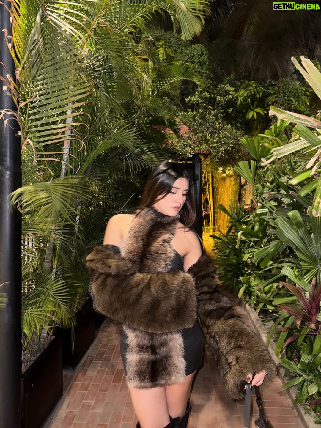 Teesha Sikri - 2.6K Likes - furry baby🤎🖤
