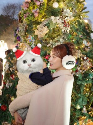 Tenka Hashimoto Instagram - もうすぐサンタ歴2年になります🎅🎄🧸