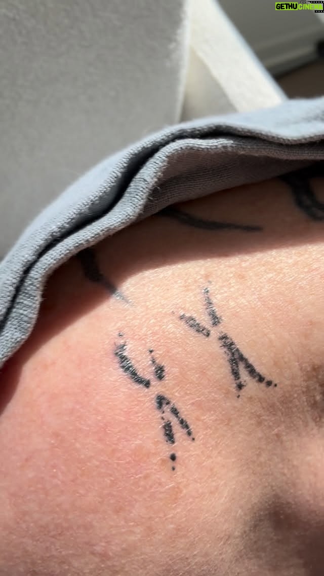 Teri Polo - 3.4K Likes - missing my Mr Chicken Nugget a lot today…he will forever be on my shoulder though…jiggling my glasses and asking for me to “gimme kiss” 
and for a “Nuggie hug” 
I miss you so much Nuggie Nugs. 
I love you…💚💚💚

Tattoo of Nugget’s actual footie prints courtesy of: @ezzeink 🙏🏻❤️

#mrchickennugget #nugget #nuggie #chicken #nuggiehug #gimmekiss #jendayconure #conure #conuresofinstagram #birb 
#missyou
