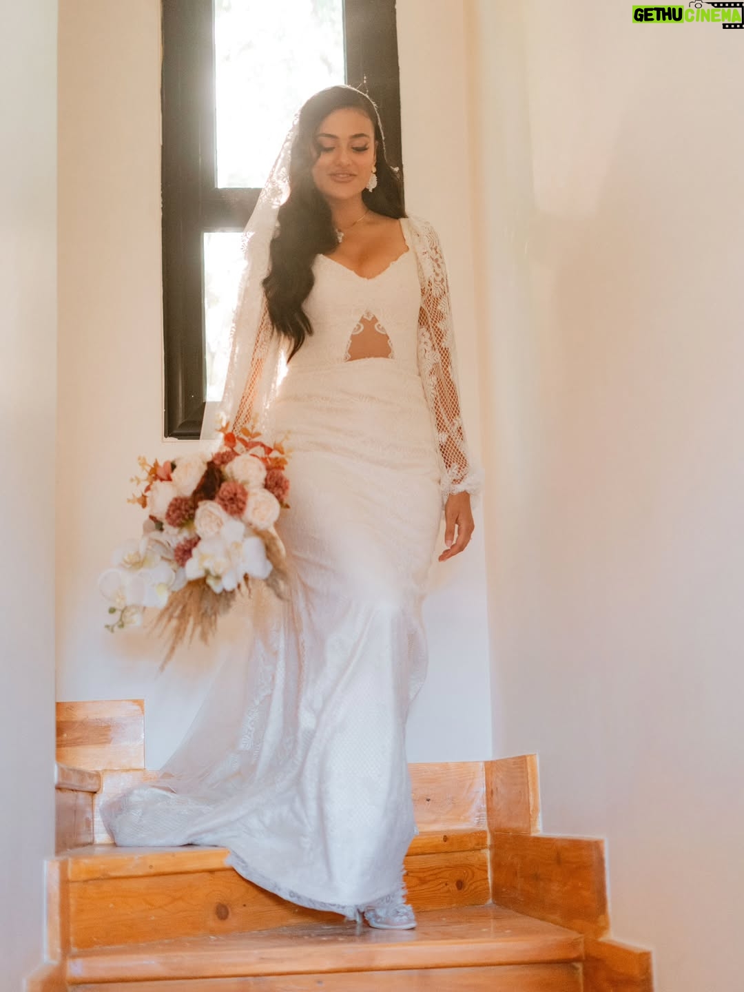 Tharaa Goubail - 13.3K Likes - My beautiful day 11/30/2024
Dress @tasneemelshabassy 
Hair @georgehakimofficial 
Makeup @maryam_abd_alaziz 
Bride shoes @opal_officiall 

Videography @ulphastudios 
Wedding planner @ayagamalweddingplanner 
Special thanks to the amazing photographer @antikkahossam