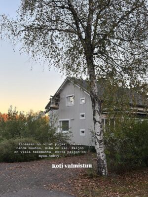 Tiia Elg Instagram - Remontin vaiheita Iisakin kirkossa aka meidän rintamamiestalossa. On ollut monta moneksi. Huvipuistovaihe oli remontin kivoin vaihe. (Kts. Kuvat) 

📌Talon väriksi valikoitu Tikkurilan Q637 Taival @tikkurila_suomi . Oon todella tyytyväinen värivalintaan.

Otimme paneelit valmiiksi maalattuina. Mä maalasin reunalaudat (onkohan oikea termi) ja Aksu maalasi ikkunoiden puitteet. Jotain siis touhuttiin itsekin.