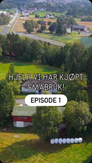Tiril Sjåstad Christiansen Instagram - HJELP! VI HAR KJØPT SMÅBRUK 👩🏼🌾👨🏻🌾