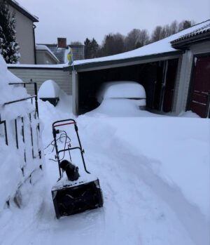 Titti Schultz Instagram - Det ser kanske inte så mycket ut men jäklar vad vi skottat! Bilen går till exempel att backa ut nu…
❄️❄️❄️❄️❄️