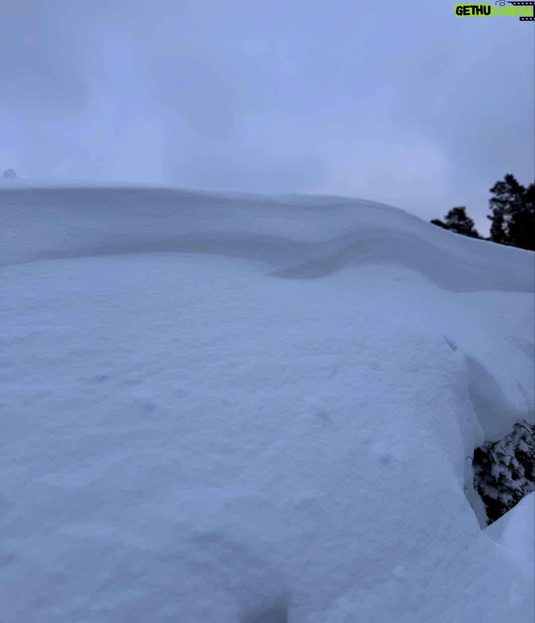 Titti Schultz - 8.6K Likes - Det ser kanske inte så mycket ut men jäklar vad vi skottat! Bilen går till exempel att backa ut nu…
❄️❄️❄️❄️❄️