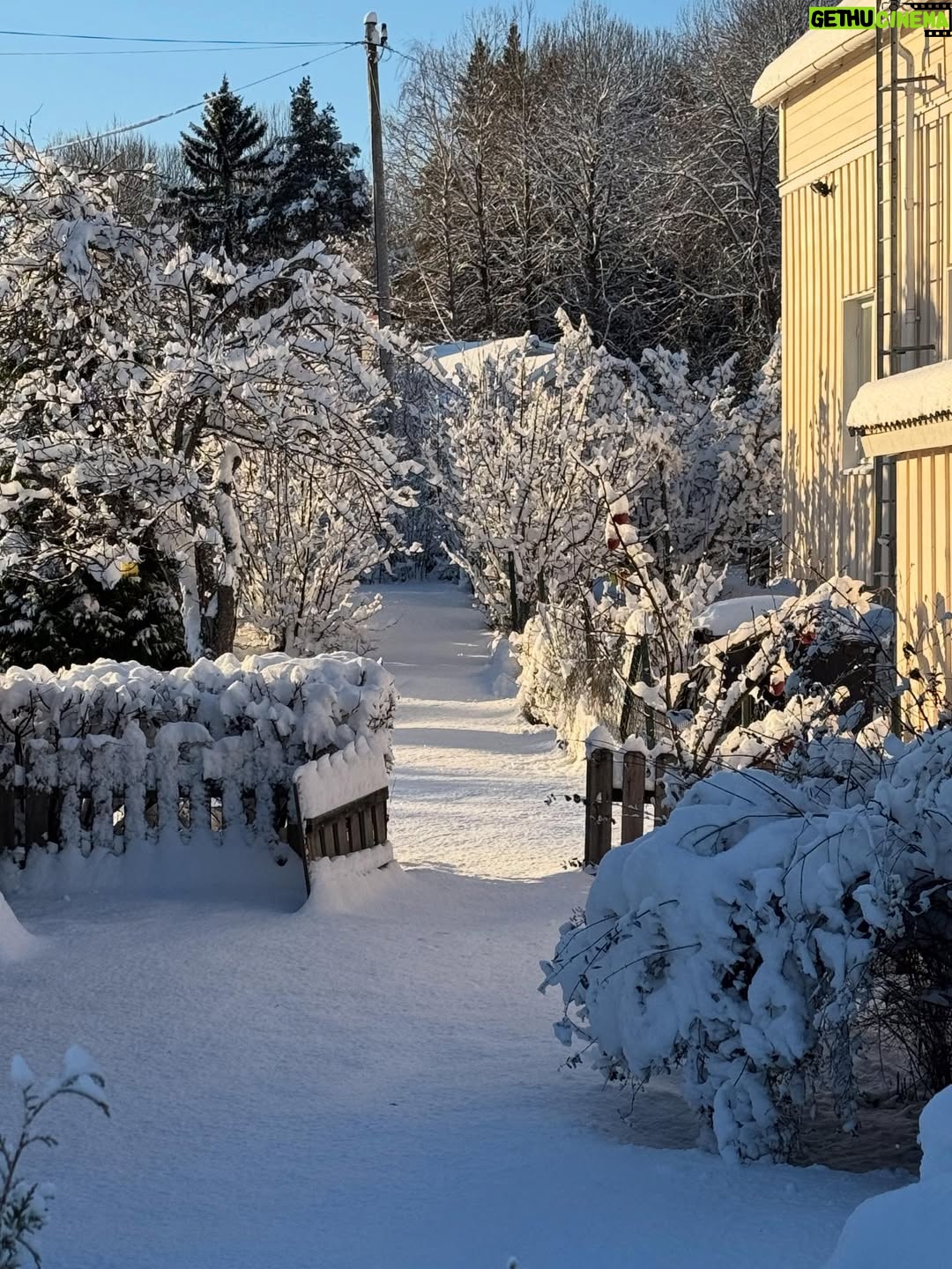 Titti Schultz - 8.5K Likes - Jag vill bara komma ihåg det här när jag är tillbaka i Stockholm och det är grått och smutsigt. 
Svajpa för mycket härlighet. ❄️❄️❄️