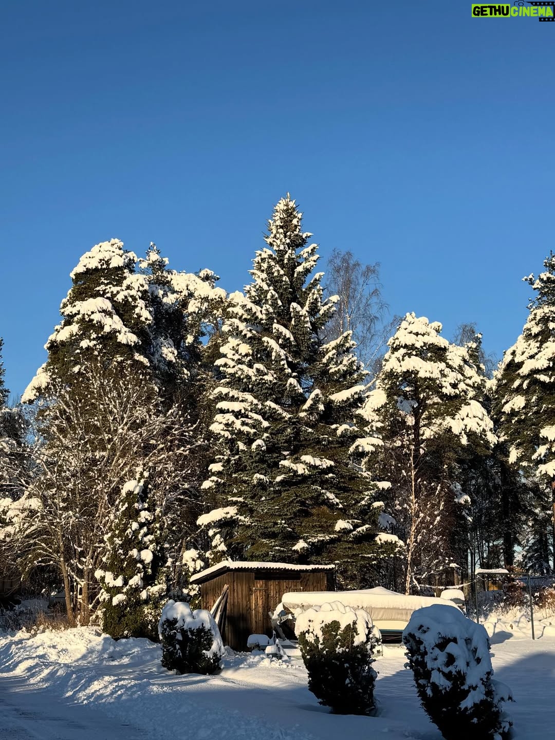 Titti Schultz - 8.5K Likes - Jag vill bara komma ihåg det här när jag är tillbaka i Stockholm och det är grått och smutsigt. 
Svajpa för mycket härlighet. ❄️❄️❄️