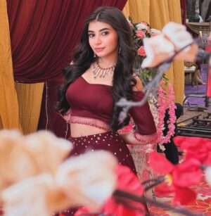 Vaishnavi Ganatra Instagram - a lil noor to make your day better ❤️
#aarna #jagadhatri #shotoniphone #instagram #foryou #foryoupage #fyp #explore #explorepage #vaishnaviganatra #traditonal #love