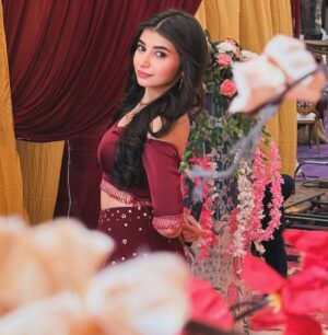 Vaishnavi Ganatra Instagram - a lil noor to make your day better ❤️
#aarna #jagadhatri #shotoniphone #instagram #foryou #foryoupage #fyp #explore #explorepage #vaishnaviganatra #traditonal #love