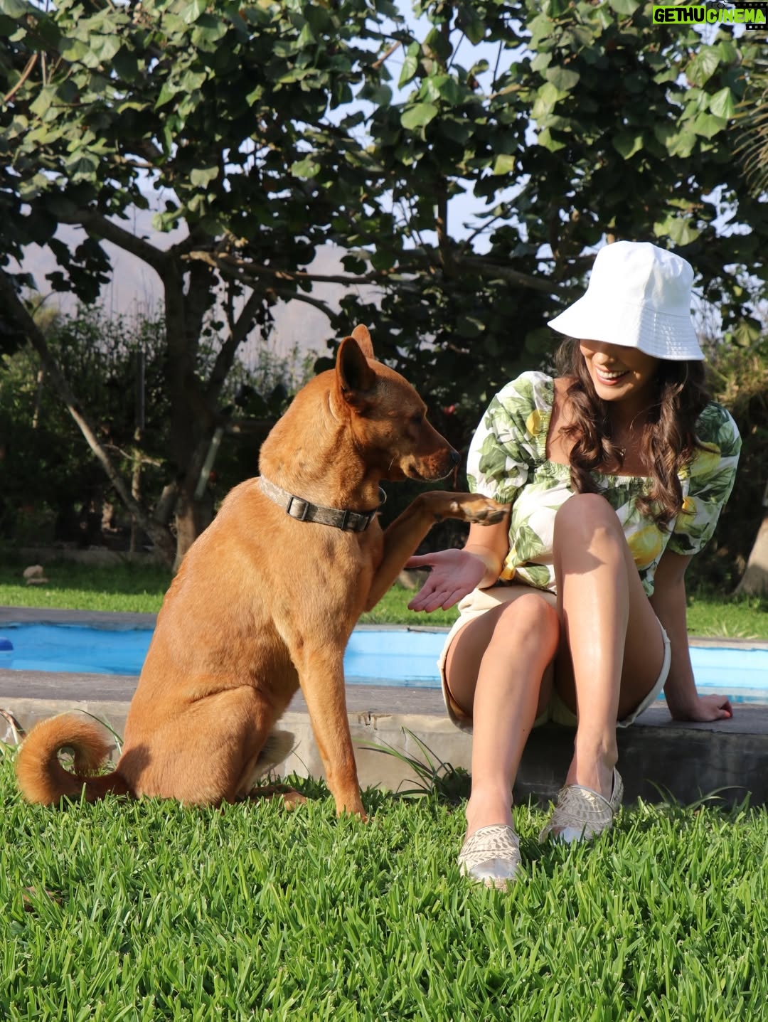 Valeria Piazza - 14.4K Likes - y para el 2026 seguir avanzando junto a mi compañera de vida, junto al alma que la mía necesita. 
•
Que voy a andar pidiendo deseos si hace 16 años ya la vida me cruzo con mucho más de lo que podría soñar.