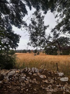 Valorie Curry Instagram - UK photo dump part 2: The Cotswolds
It’s shocking I actually came back.