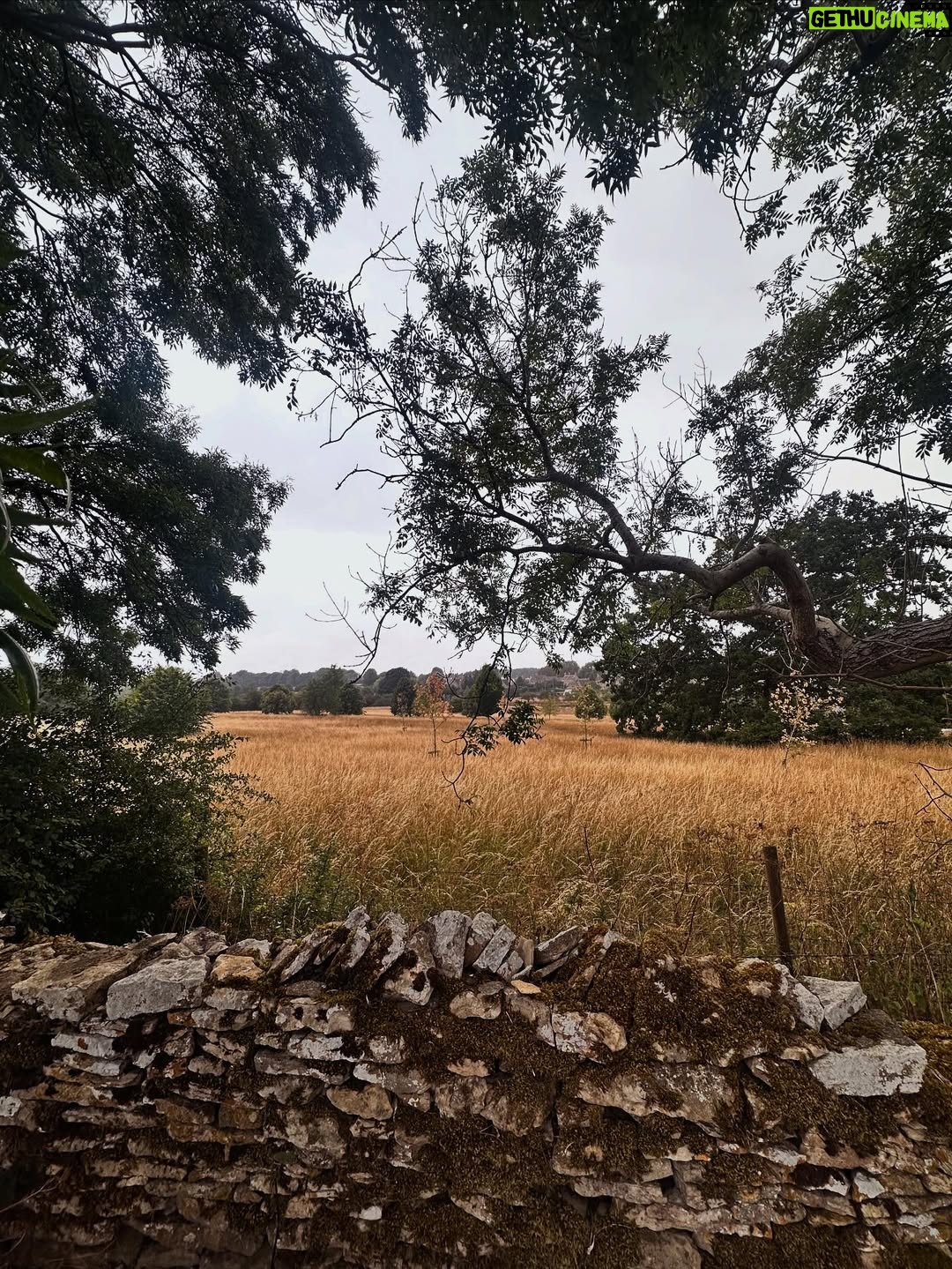 Valorie Curry - 12K Likes - UK photo dump part 2: The Cotswolds
It’s shocking I actually came back.