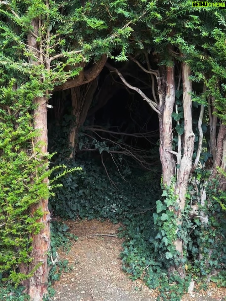 Valorie Curry - 12K Likes - UK photo dump part 2: The Cotswolds
It’s shocking I actually came back.