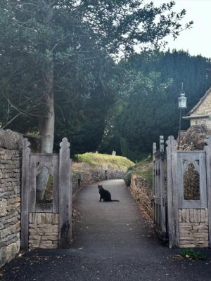 Valorie Curry Instagram - UK photo dump part 2: The Cotswolds
It’s shocking I actually came back.