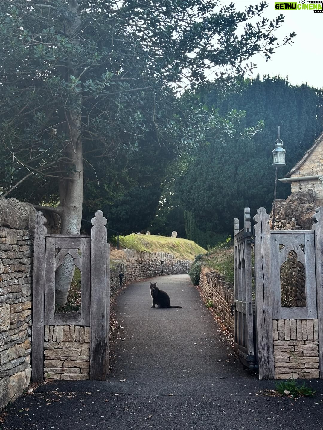 Valorie Curry - 12K Likes - UK photo dump part 2: The Cotswolds
It’s shocking I actually came back.