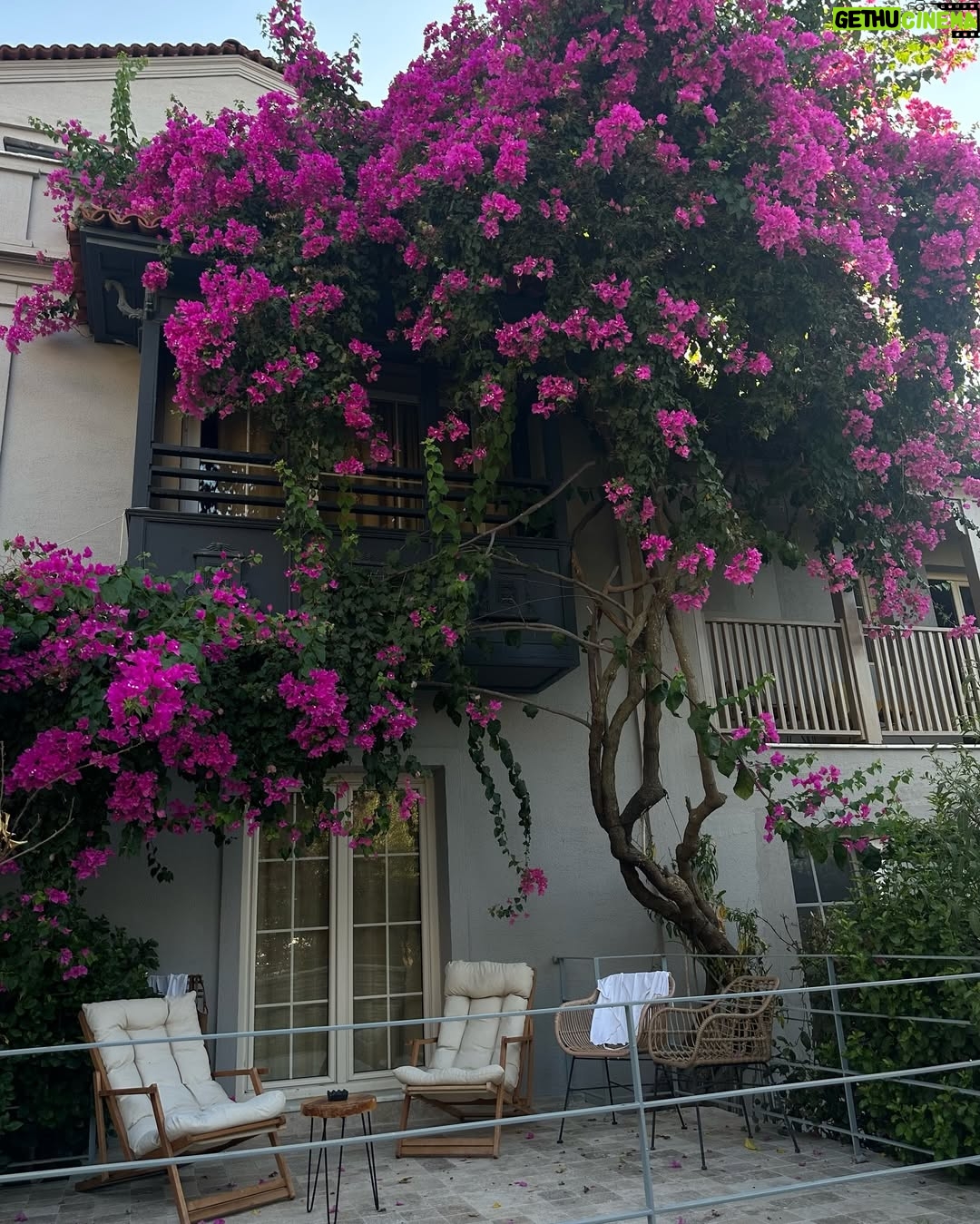 Valya Karnaval - 263.1K Likes - 🐒🌴