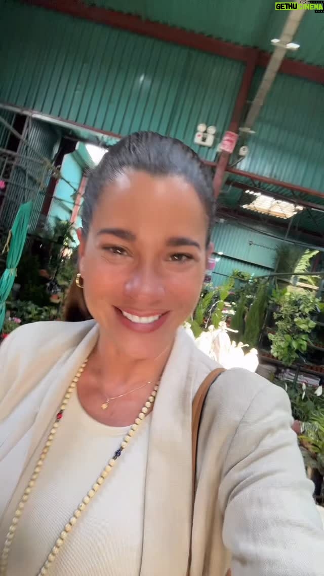 Vanessa Terkes - 3 Likes - Fui al Mercado de Flores de Acho y ¡amé! 💐
Les dejo precios y todo lo que pueden conseguir allá. ❤️
#mercadodeflores #flores #barato