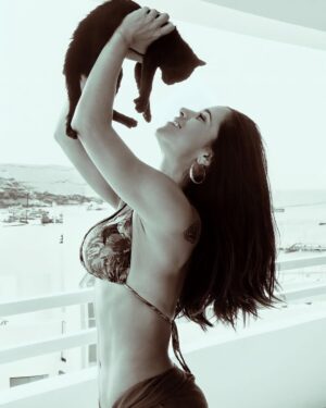 Vanessa Terkes Instagram - Miauuuuu!!! 😻 Cuantos amantes de los gatos por acá? ☝🏽#gato #gatosfofos #mascota #mascotas 📸 @berrios_photographer