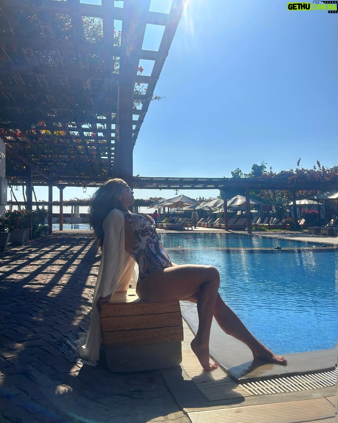 Vanessa Terkes - 15K Likes - Gracias por tanto Ica 💚💜 La pasamos súper increíble… a 4 horas de Lima es una destino imperdible!!! A qué lugar me recomiendas viajar? Sugerencias 🙏