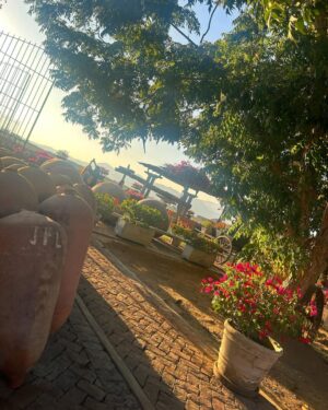 Vanessa Terkes Instagram - Gracias por tanto Ica 💚💜 La pasamos súper increíble… a 4 horas de Lima es una destino imperdible!!! A qué lugar me recomiendas viajar? Sugerencias 🙏