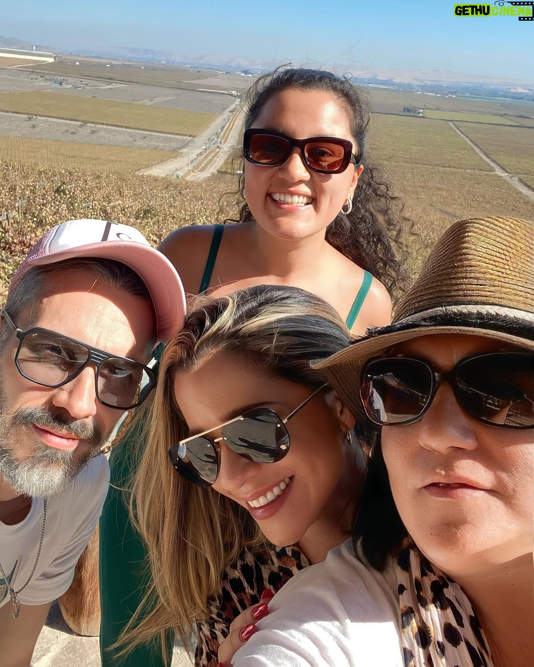 Vanessa Terkes - 15K Likes - Gracias por tanto Ica 💚💜 La pasamos súper increíble… a 4 horas de Lima es una destino imperdible!!! A qué lugar me recomiendas viajar? Sugerencias 🙏