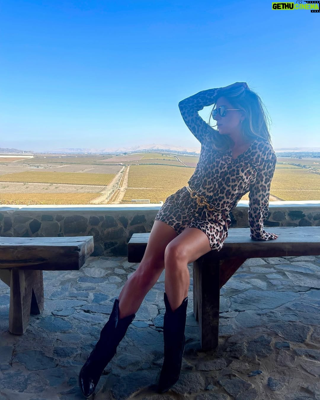 Vanessa Terkes - 15K Likes - Gracias por tanto Ica 💚💜 La pasamos súper increíble… a 4 horas de Lima es una destino imperdible!!! A qué lugar me recomiendas viajar? Sugerencias 🙏