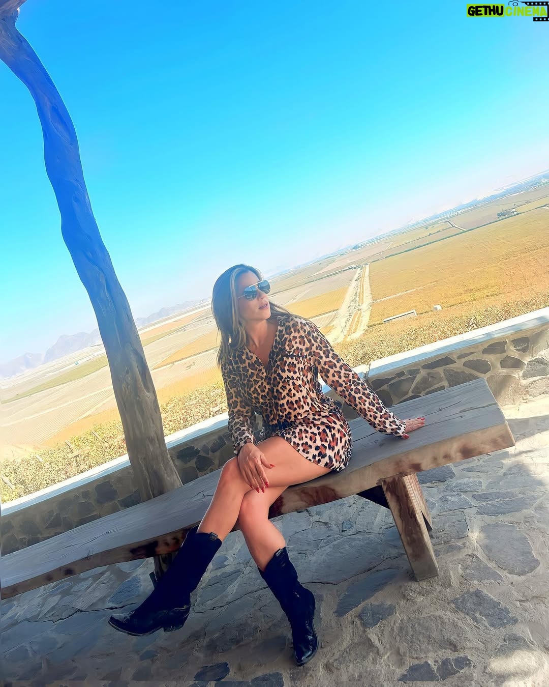 Vanessa Terkes - 15K Likes - Gracias por tanto Ica 💚💜 La pasamos súper increíble… a 4 horas de Lima es una destino imperdible!!! A qué lugar me recomiendas viajar? Sugerencias 🙏
