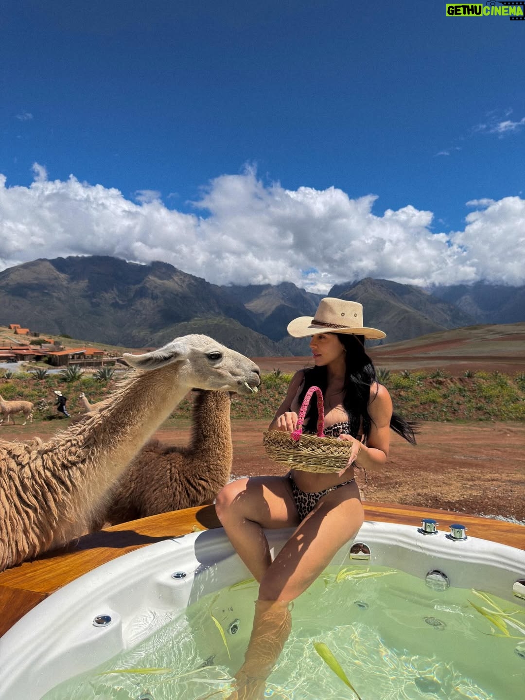Vania Bludau - 51.1K Likes - Capitulo 1 de 365 🦙⛰️
📍@mountainviewexperience