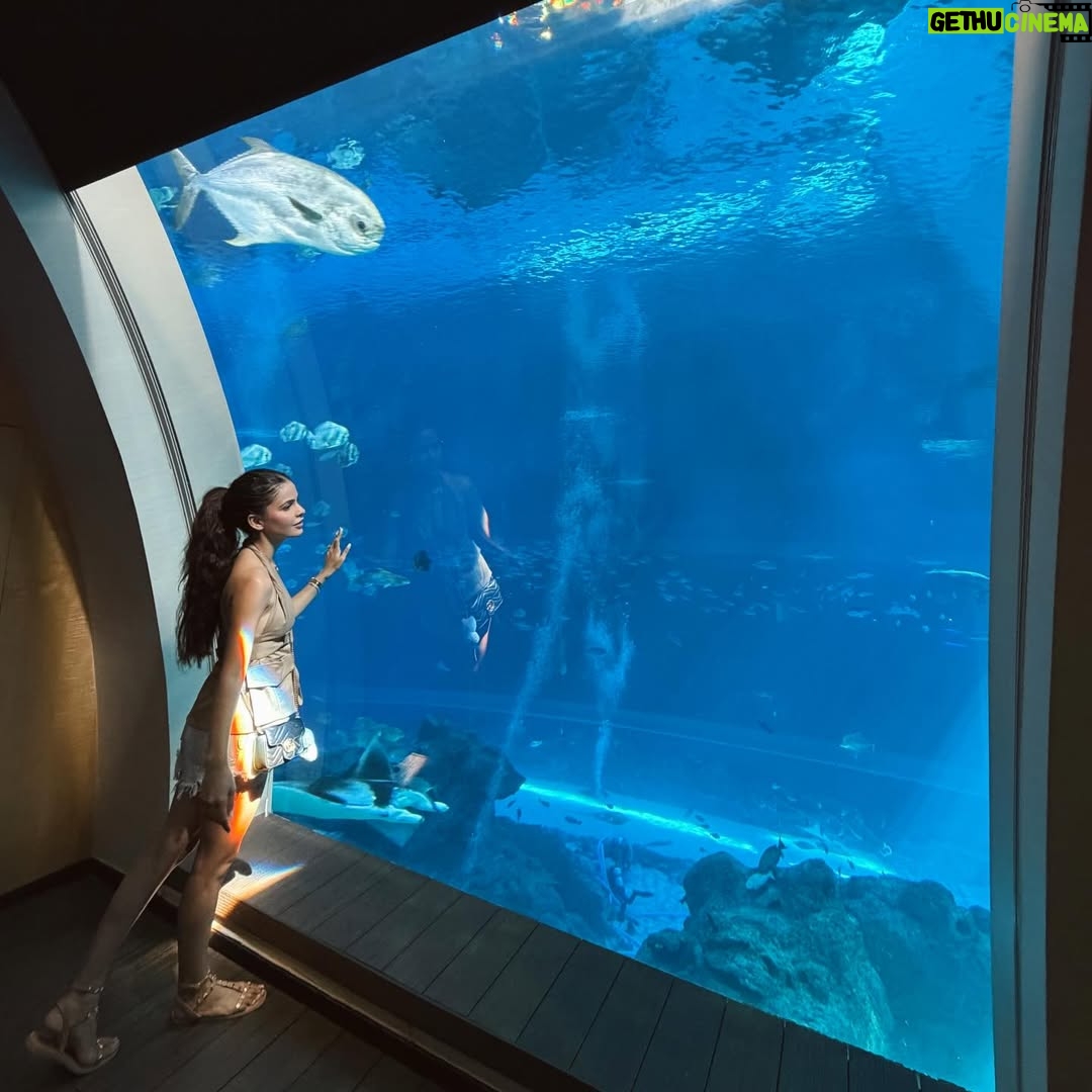 Vanshika Gaba Arora - 8.3K Likes - Trip that took me back to my childhood 💁🏻‍♀️

I have a surprise for my followers to utilise for ticket purchases over at the Resorts World Sentosa website – available for Universal Studios Singapore, Adventure Cove Waterpark, Singapore Oceanarium and hotel packages😊 

Use my Promo Code RWS5VANSHIKA

Do note that the promo code can’t be utilized stacked with other website promotions!

Rwsentosa.com