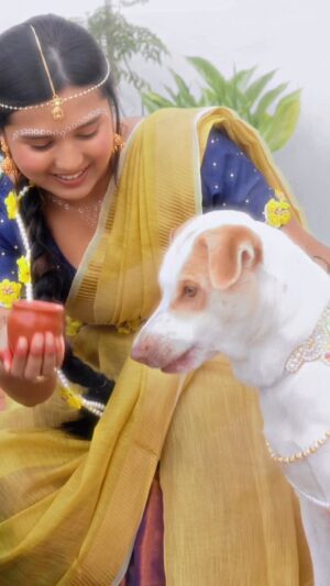 Varsha Kaveri Instagram - Comment your pet name🥹🦚🪈🧿

#varshakaveri #instagram #reelitfeelit #trending #krishna
