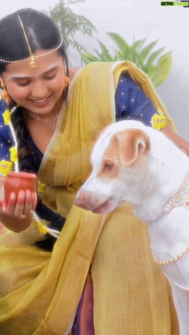 Varsha Kaveri - 131.7K Likes - Comment your pet name🥹🦚🪈🧿

#varshakaveri #instagram #reelitfeelit #trending #krishna