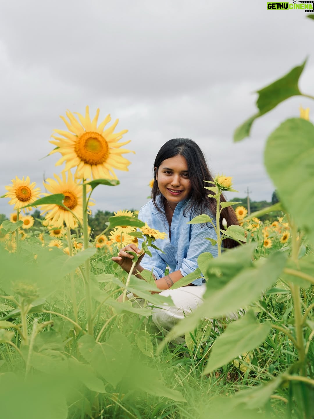 Varsha Kaveri - 94.3K Likes - Like a sunflower, I choose to face the light.🌻

#varshakaveri