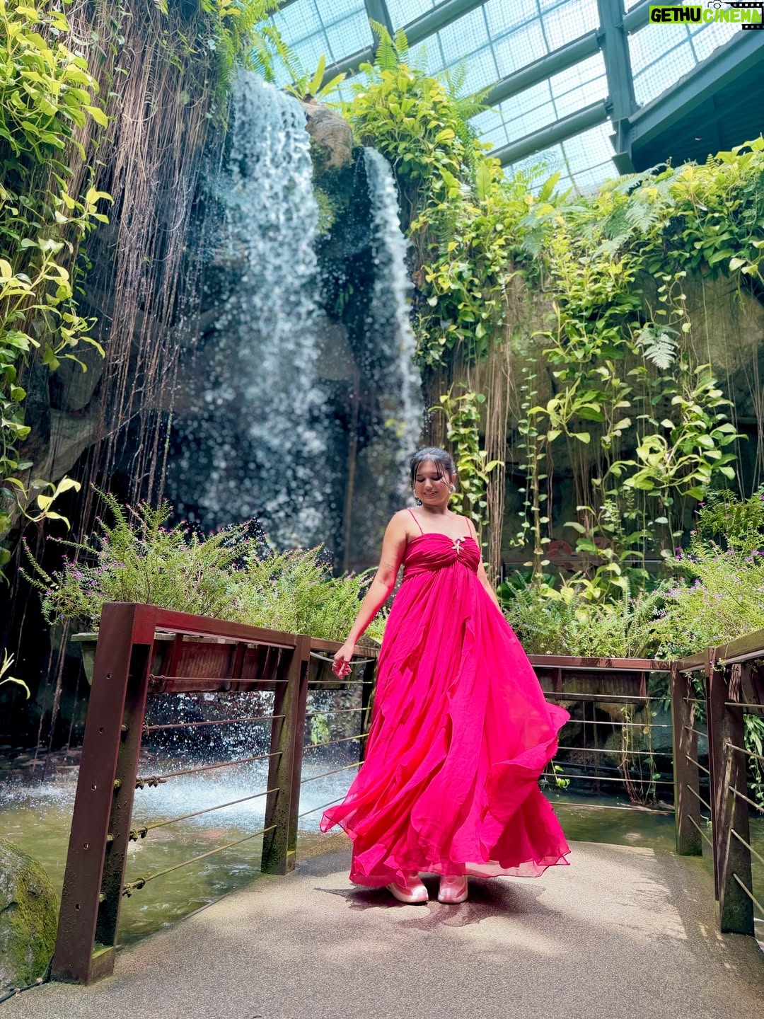 Varsha Kaveri - 96.1K Likes - Always try to fly alone 🦋🌹🧿

#varshakaveri
