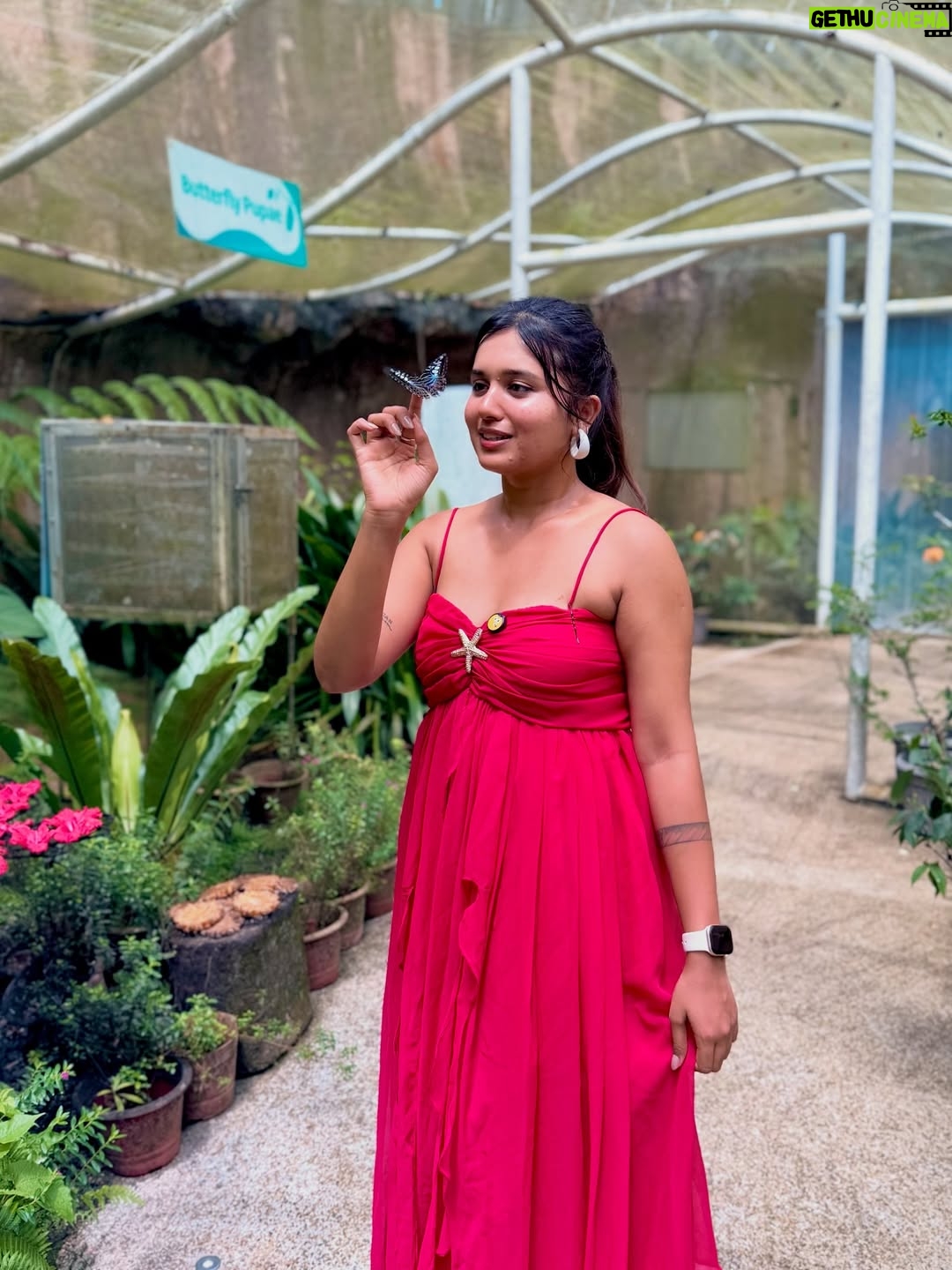 Varsha Kaveri - 96.1K Likes - Always try to fly alone 🦋🌹🧿

#varshakaveri