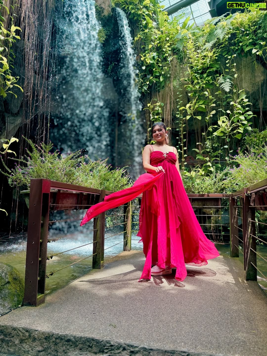 Varsha Kaveri - 96.1K Likes - Always try to fly alone 🦋🌹🧿

#varshakaveri